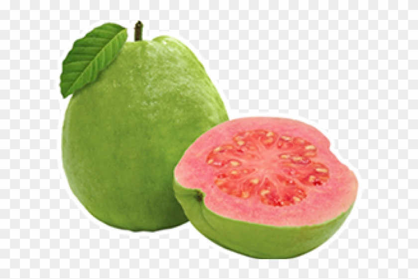 Detail Guava Download Nomer 10