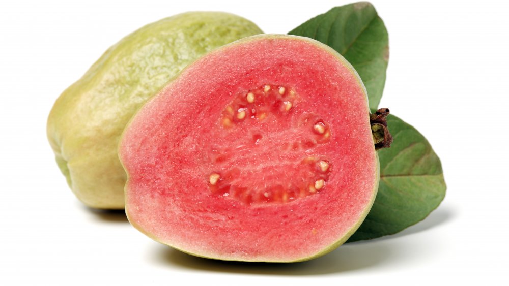 Detail Guava Fruit Pictures Nomer 34