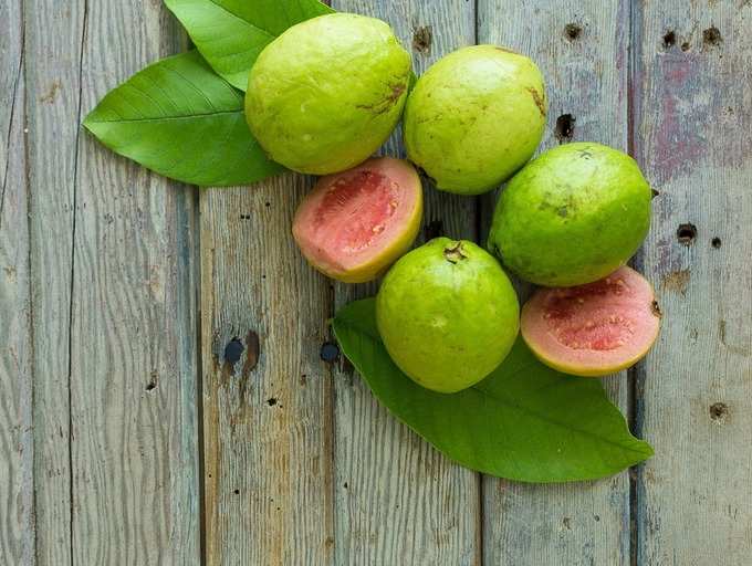 Detail Guava Fruit Pictures Nomer 53