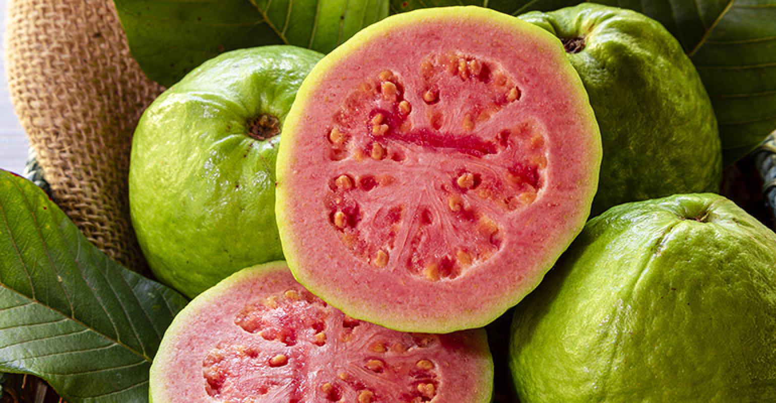 Guava Image - KibrisPDR