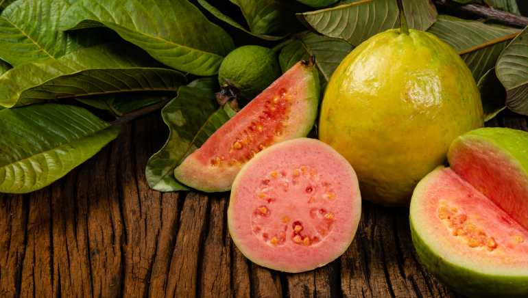 Detail Guava Image Nomer 14