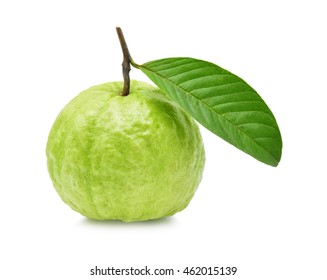 Detail Guava Image Nomer 23