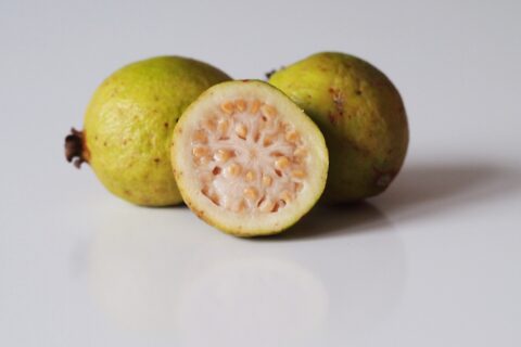 Detail Guava Image Nomer 26