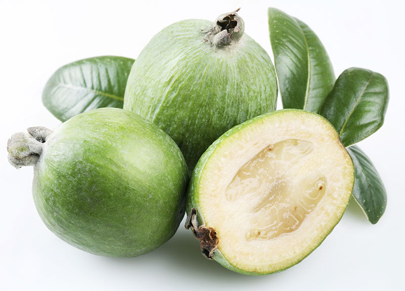 Detail Guava Image Nomer 29