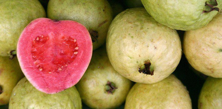 Detail Guava Image Nomer 34