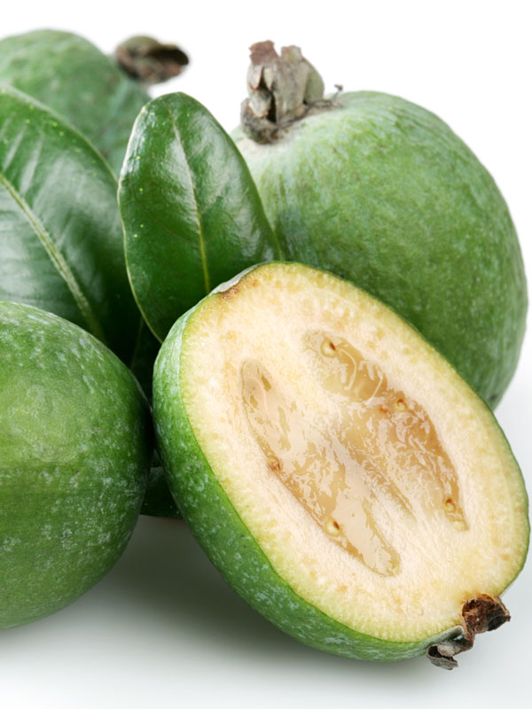 Detail Guava Image Nomer 40