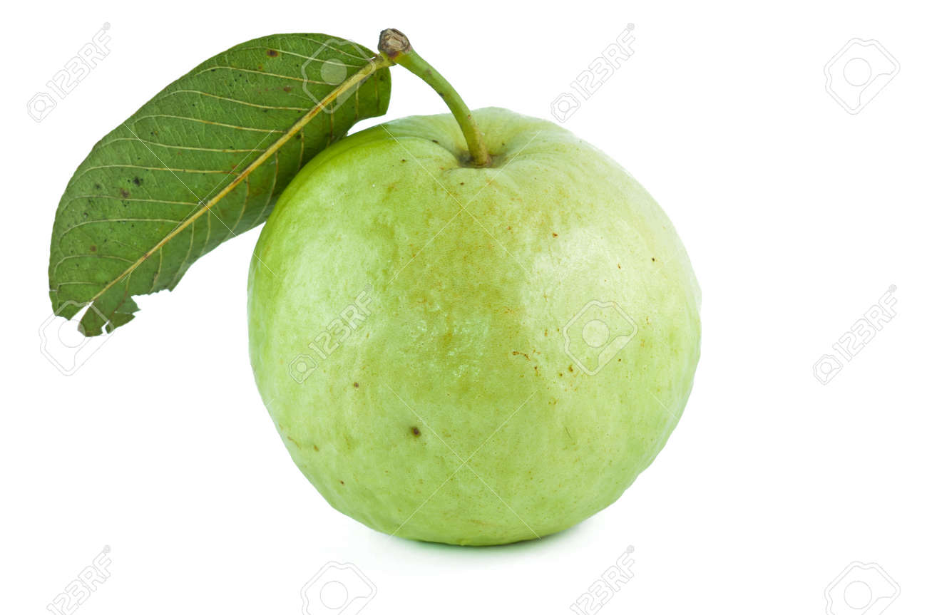 Detail Guava Image Nomer 44