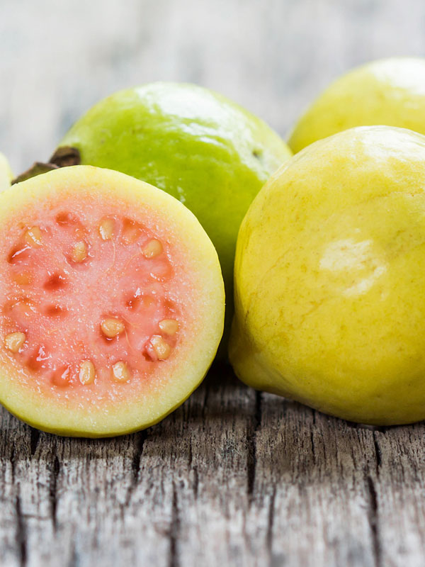 Detail Guava Image Nomer 49
