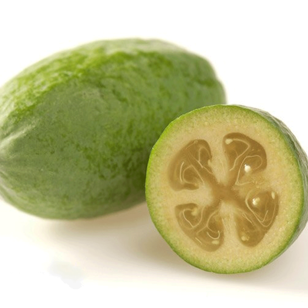 Detail Guava Image Nomer 52