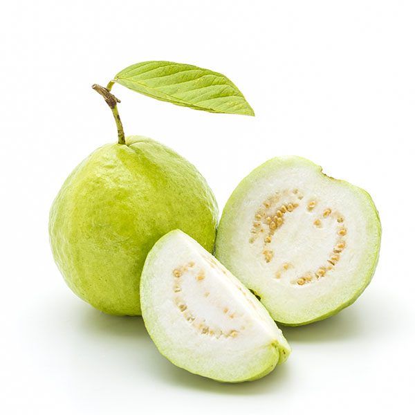Detail Guava Image Nomer 7