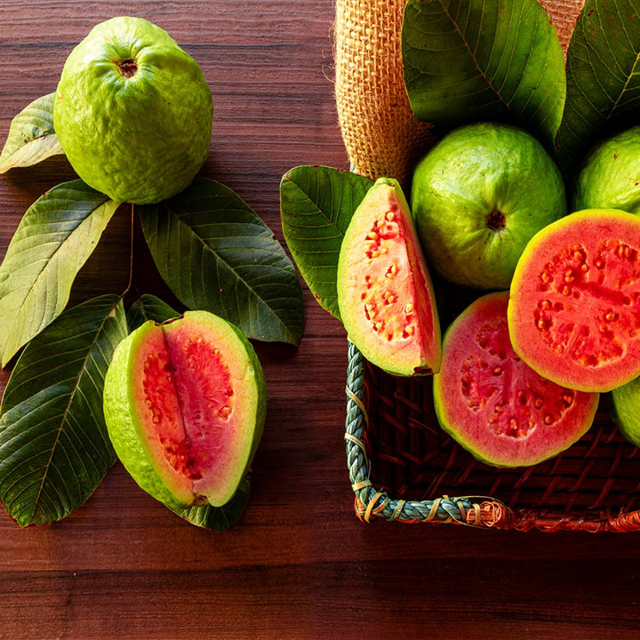 Detail Guava Image Nomer 8