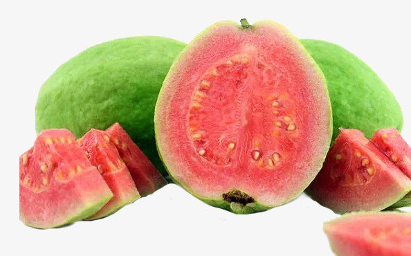 Detail Guava Images Nomer 40