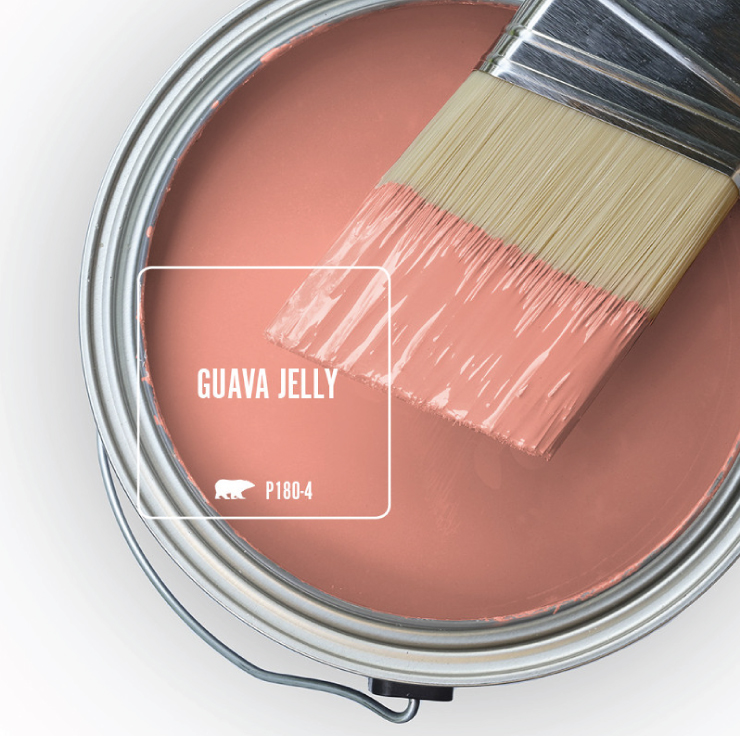 Detail Guava Jelly Paint Color Nomer 5