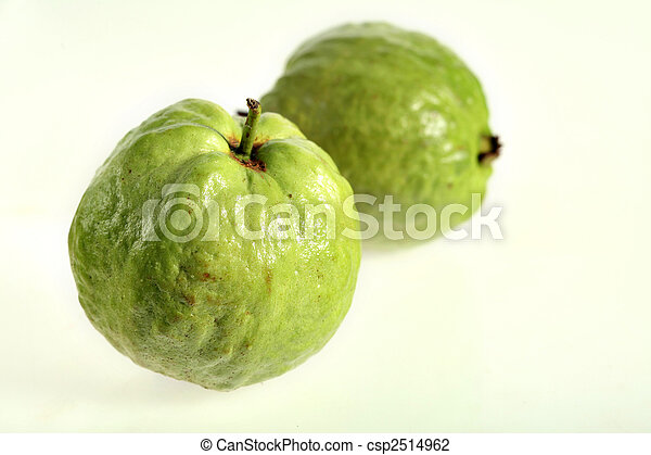 Detail Guava Leaf Wikipedia Nomer 23