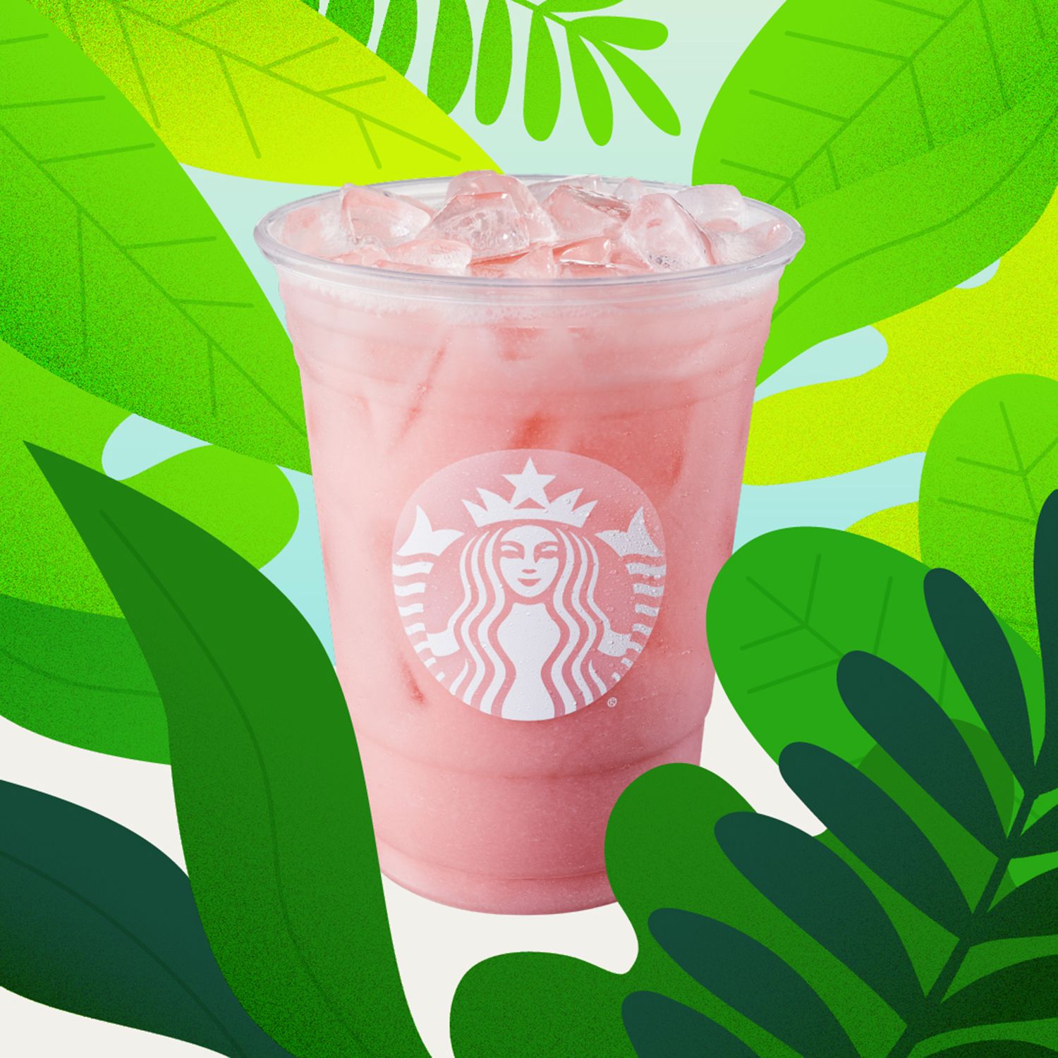Detail Guava Lemonade Drink Starbucks Nomer 3