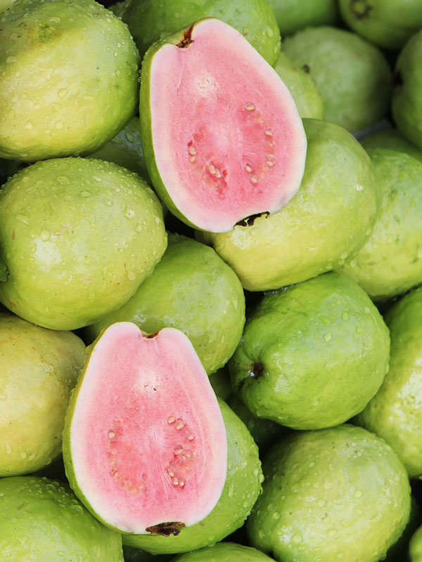 Detail Guava Photo Nomer 25