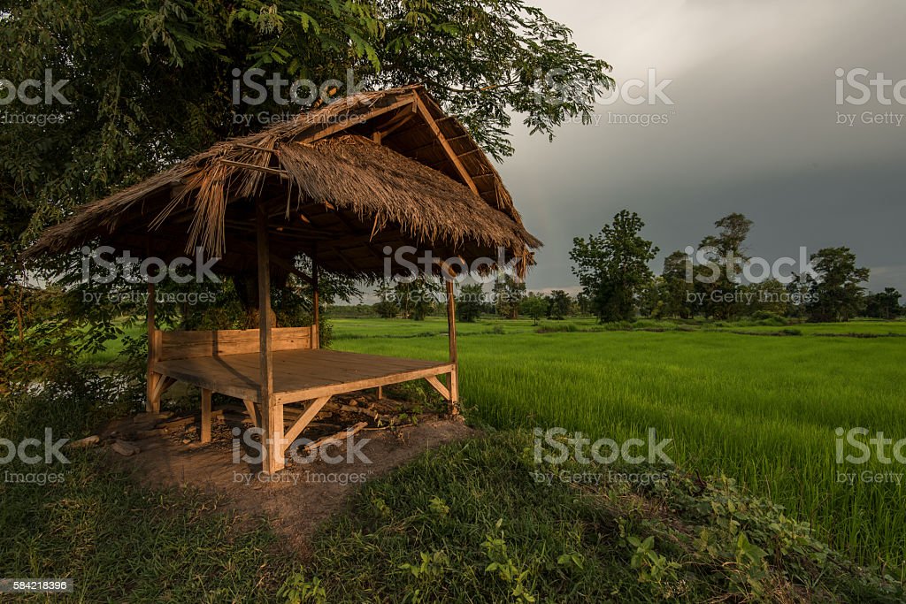 Detail Gubuk Di Sawah Nomer 40