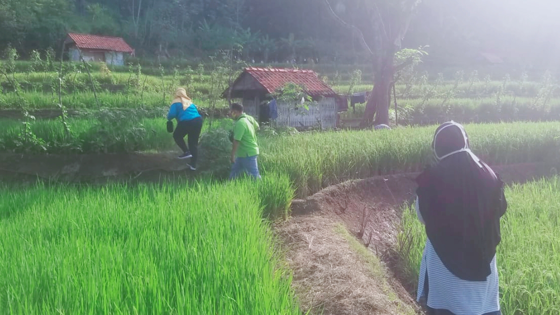 Detail Gubuk Di Tengah Sawah Nomer 9