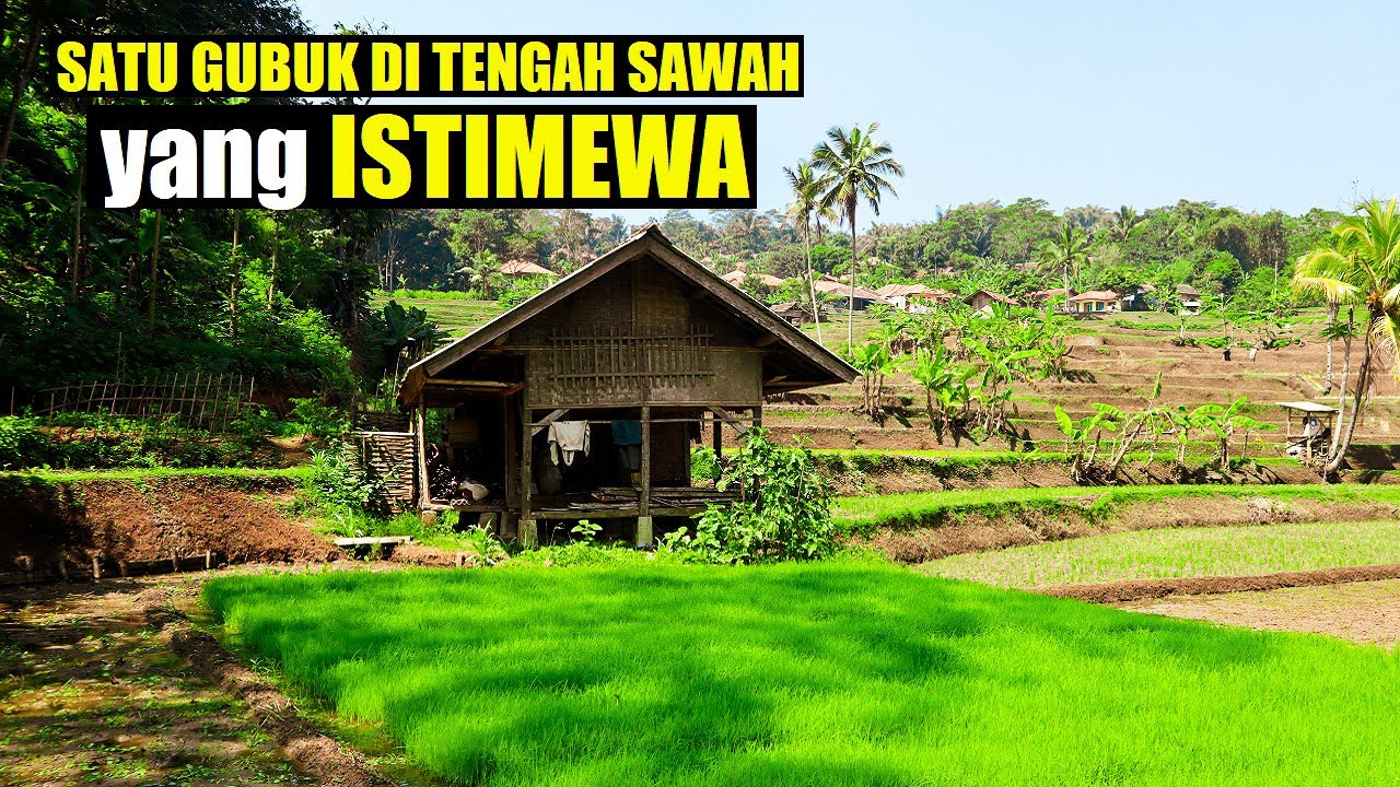 Detail Gubuk Di Tengah Sawah Nomer 10