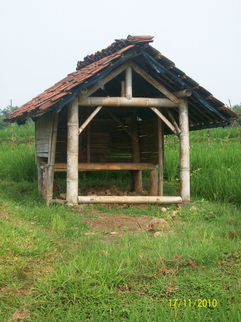 Detail Gubuk Di Tengah Sawah Nomer 20