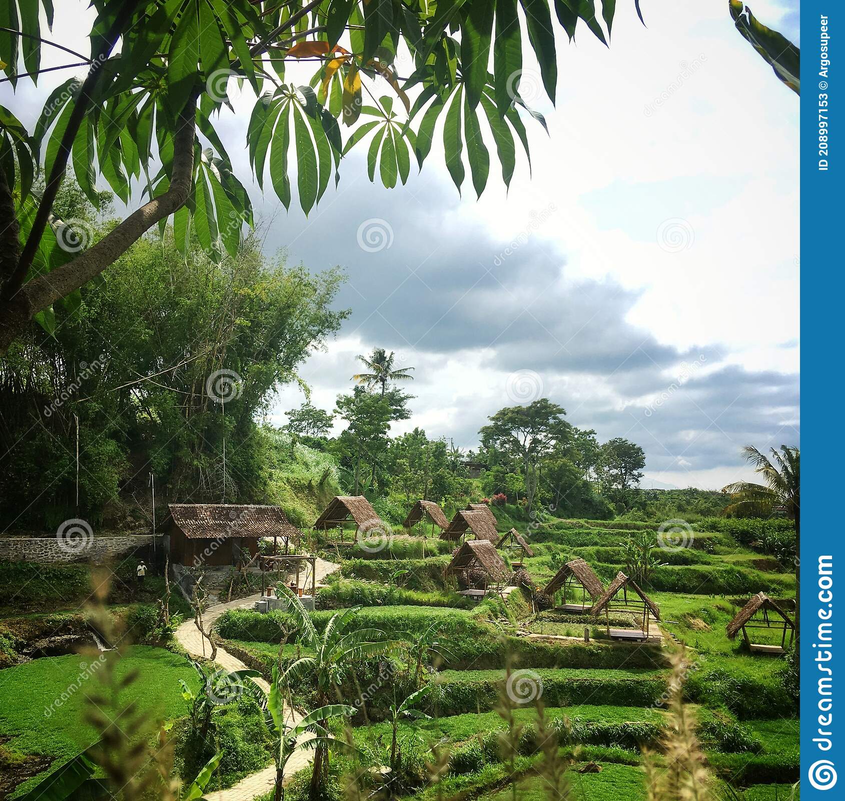 Detail Gubuk Di Tengah Sawah Nomer 22