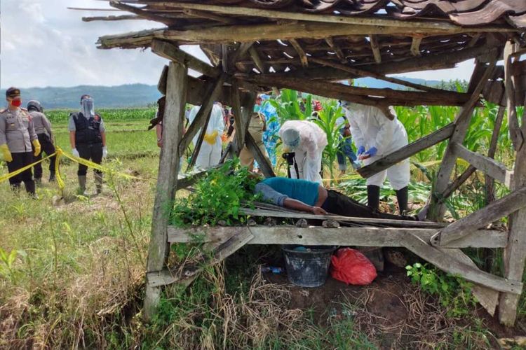 Detail Gubuk Di Tengah Sawah Nomer 25