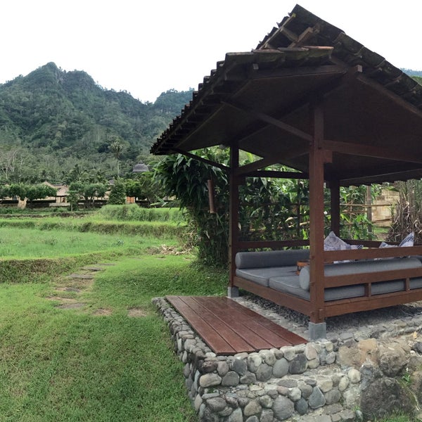 Detail Gubuk Di Tengah Sawah Nomer 4