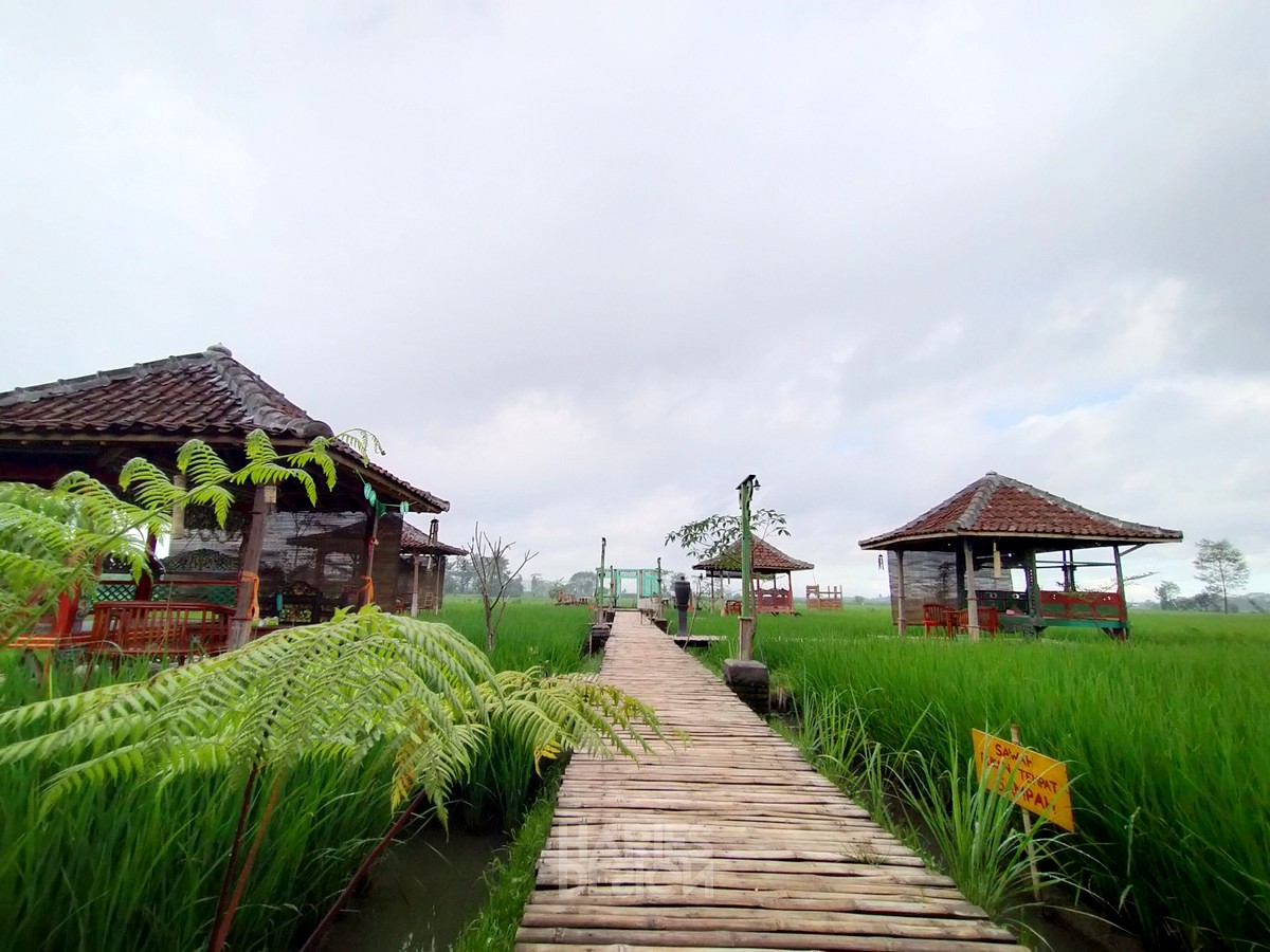 Detail Gubuk Di Tengah Sawah Nomer 30