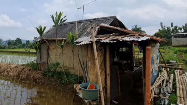 Detail Gubuk Di Tengah Sawah Nomer 32