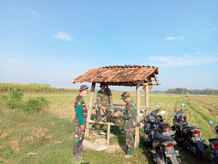 Detail Gubuk Di Tengah Sawah Nomer 36