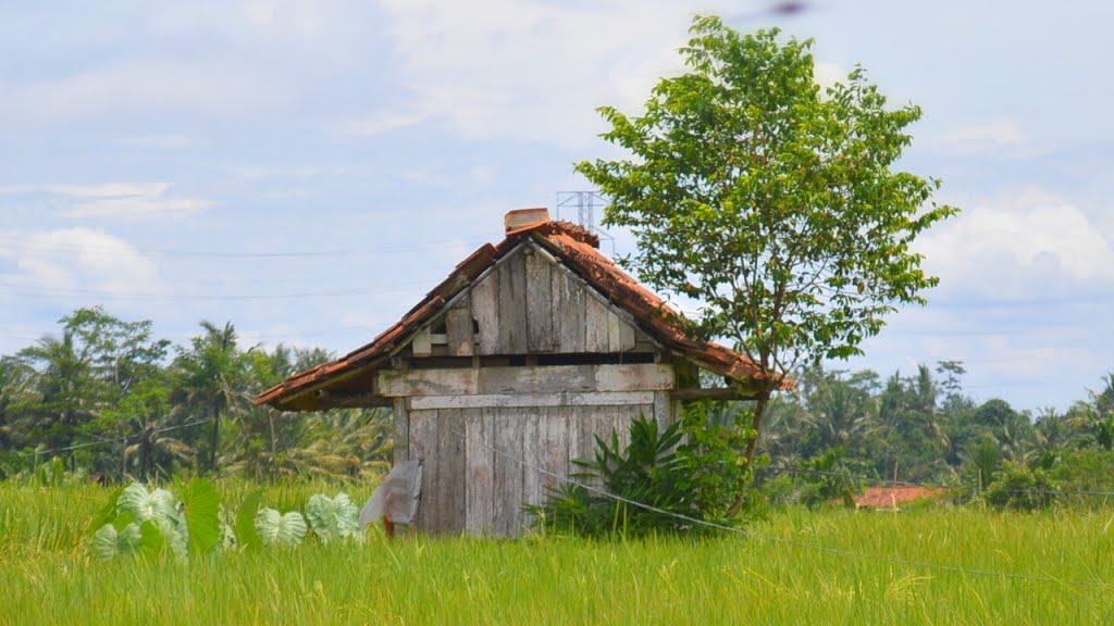 Detail Gubuk Di Tengah Sawah Nomer 37