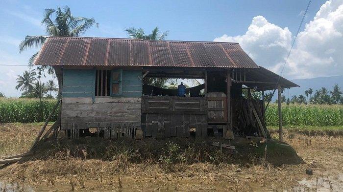 Detail Gubuk Di Tengah Sawah Nomer 41