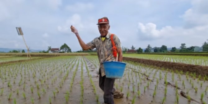 Detail Gubuk Di Tengah Sawah Nomer 45