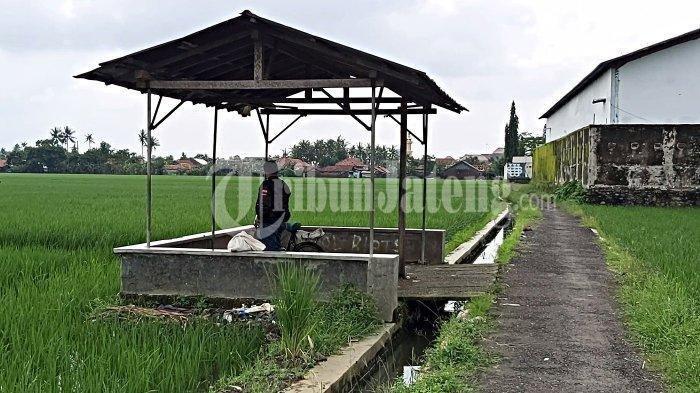 Detail Gubuk Di Tengah Sawah Nomer 50