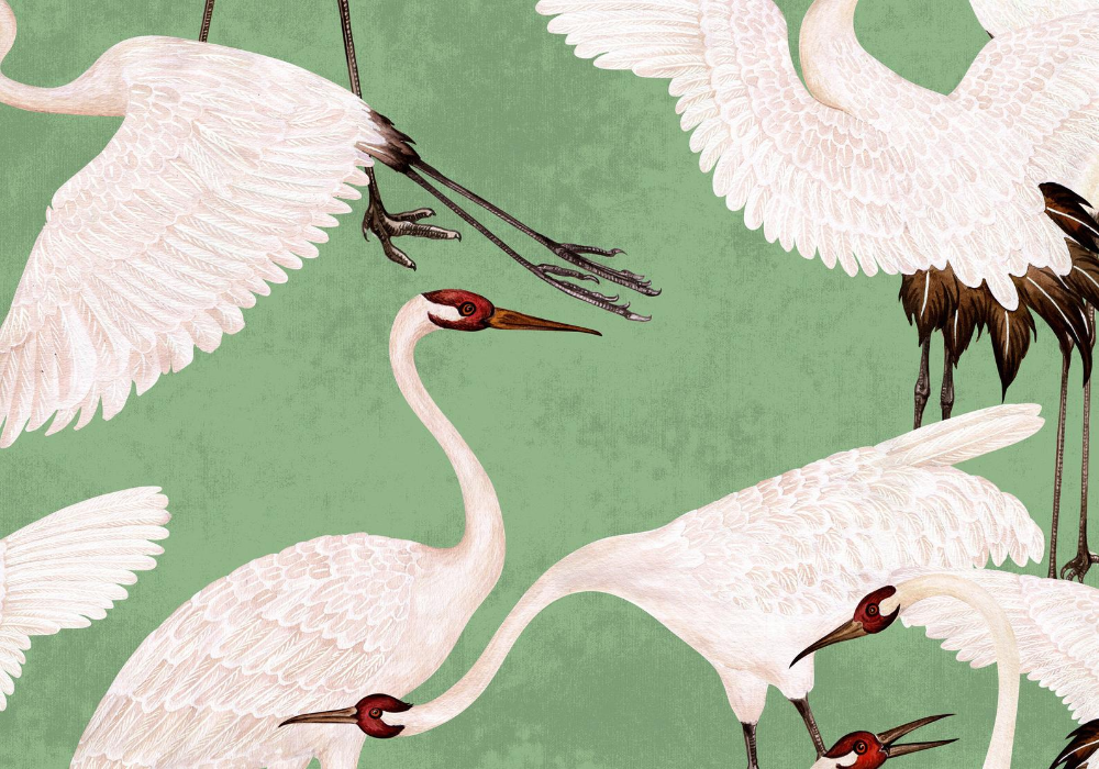 Detail Gucci Crane Wallpaper Nomer 5