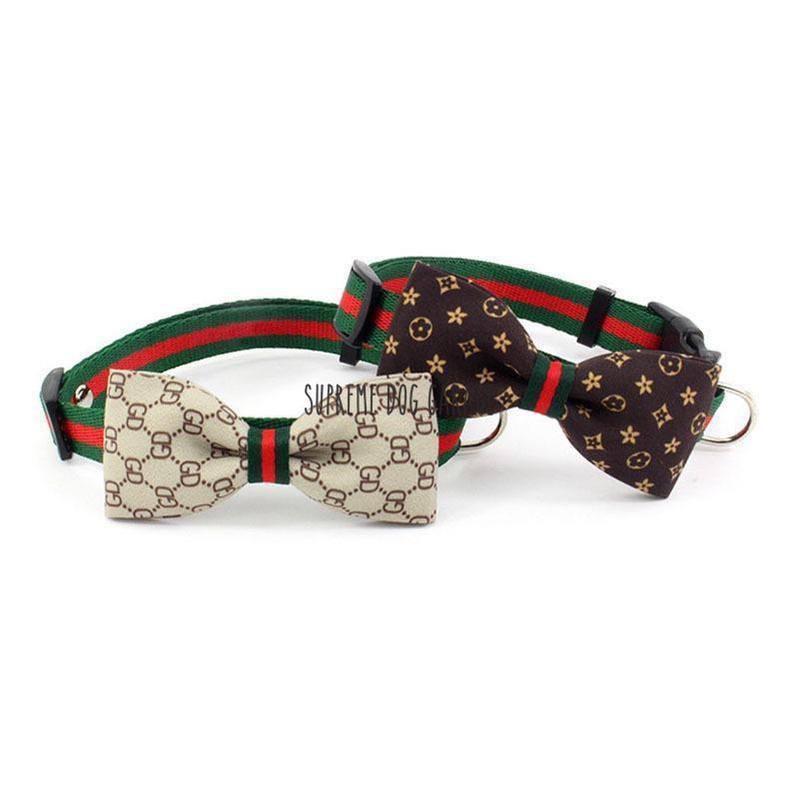 Detail Gucci Dog Leash And Collar Nomer 3