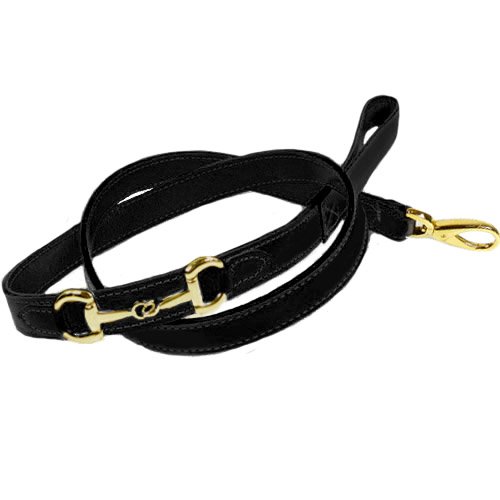 Detail Gucci Dog Leash And Collar Nomer 42
