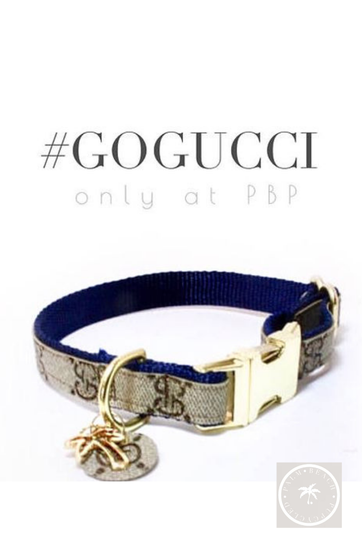 Detail Gucci Dog Leash And Collar Nomer 44