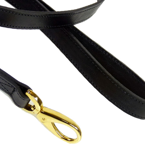 Detail Gucci Dog Leash And Collar Nomer 56