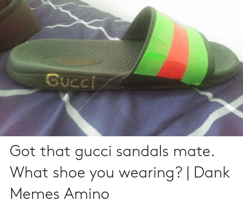 Detail Gucci Flip Flops Memes Nomer 24