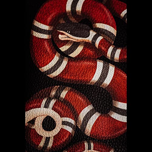 Detail Gucci Milk Snake Nomer 23