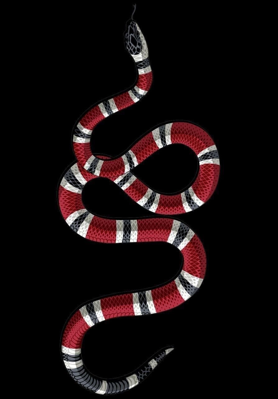 Detail Gucci Milk Snake Nomer 6