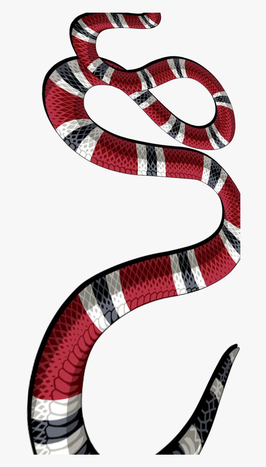 Detail Gucci Snake Image Nomer 11