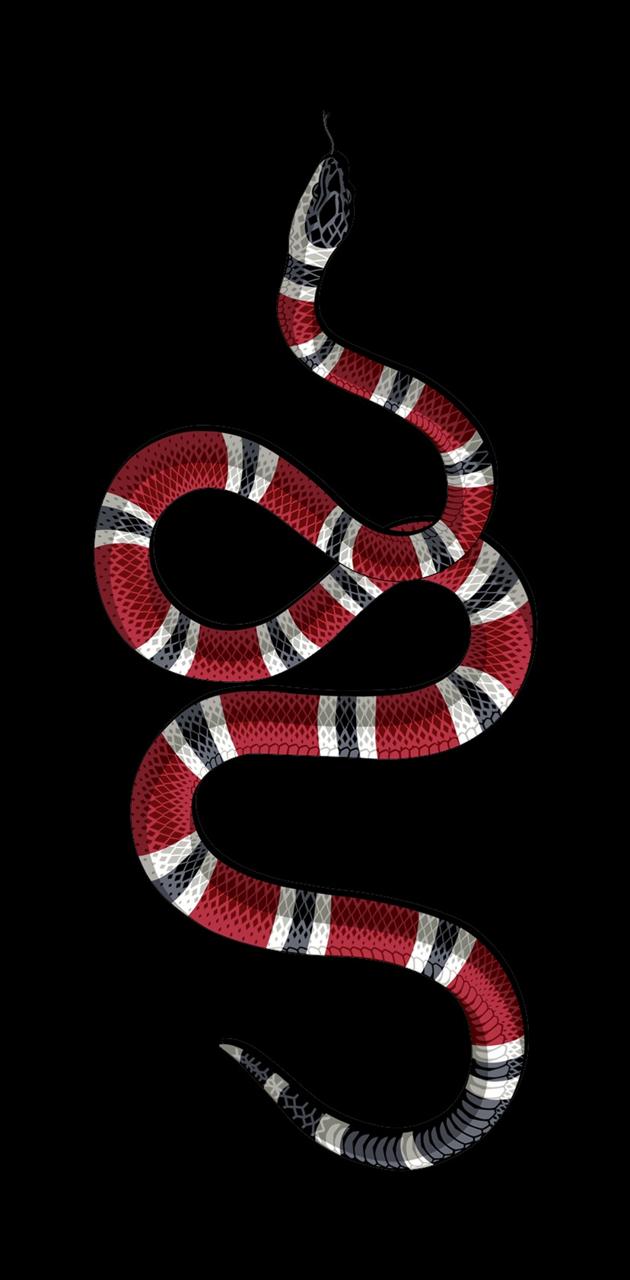 Detail Gucci Snake Image Nomer 18