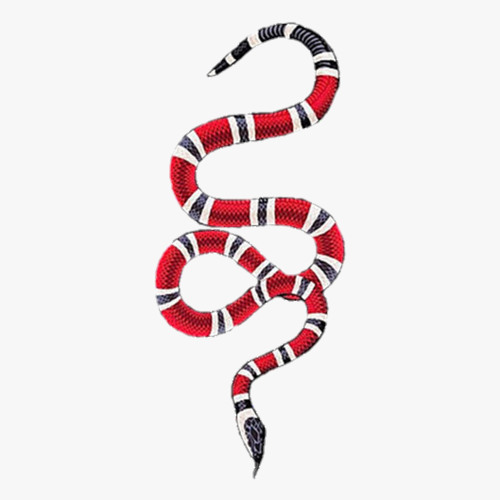 Detail Gucci Snake Image Nomer 7