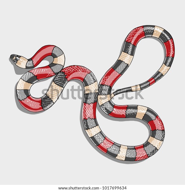 Detail Gucci Snake Vector Nomer 53