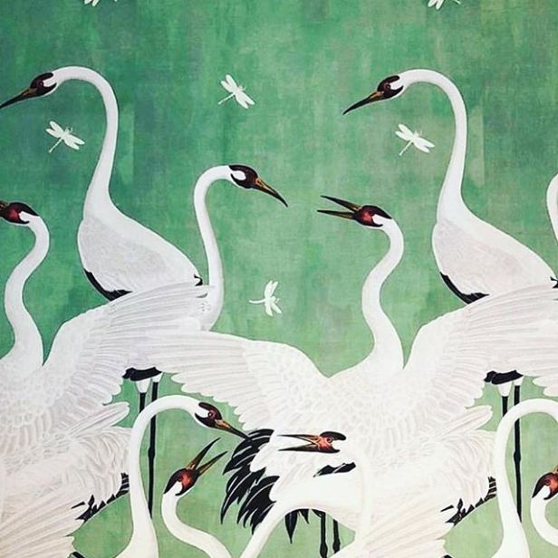 Detail Gucci Swan Wallpaper Nomer 14