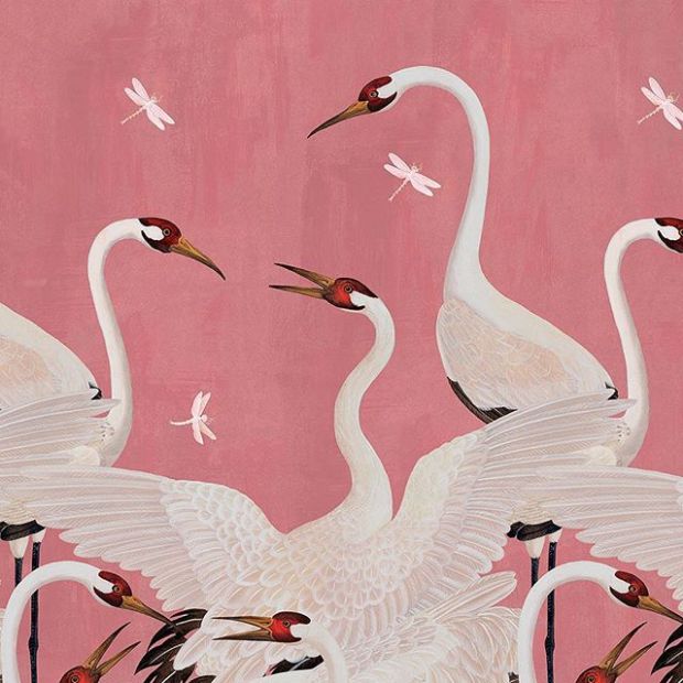 Detail Gucci Swan Wallpaper Nomer 19