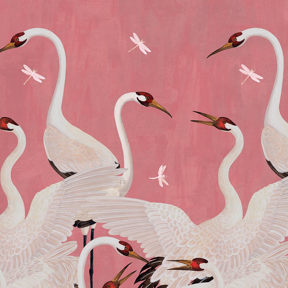 Detail Gucci Swan Wallpaper Nomer 24