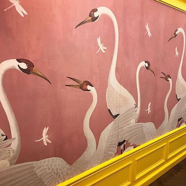 Detail Gucci Swan Wallpaper Nomer 26